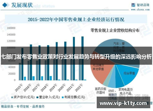 七部门发布零售业政策对行业发展趋势与转型升级的深远影响分析
