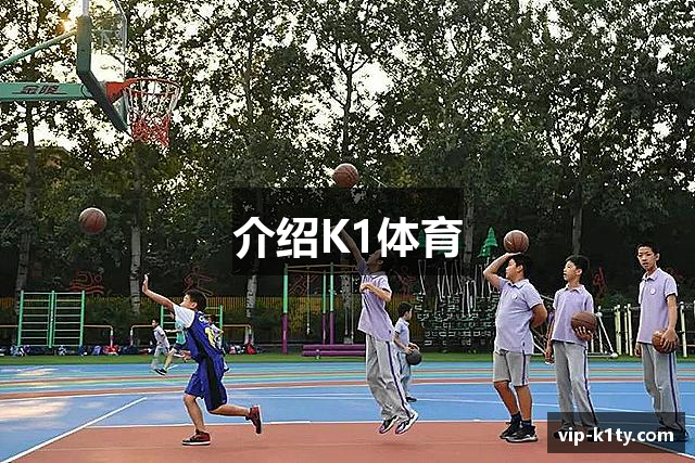 介绍K1体育